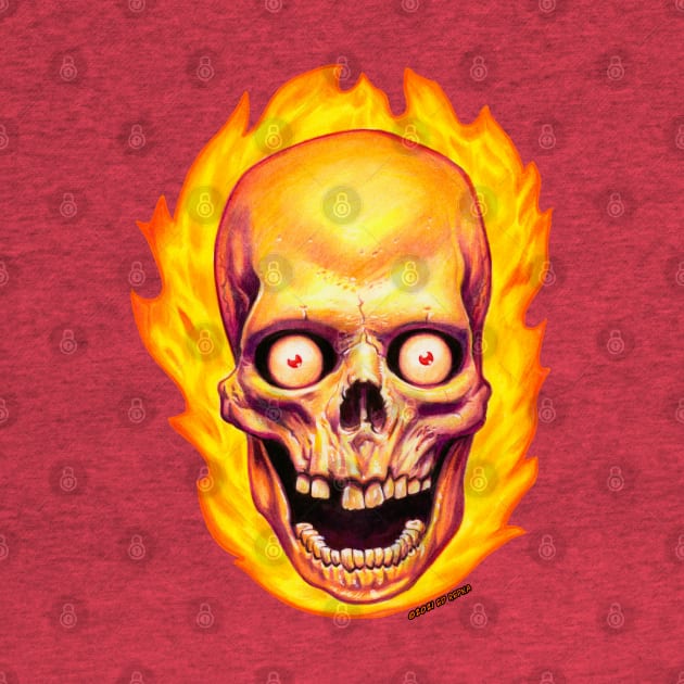 Flaming Skull by ERMTees